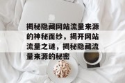 揭秘隐藏网站流量来源的神秘面纱，揭开网站流量之谜，揭秘隐藏流量来源的秘密