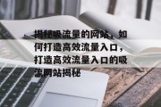 揭秘吸流量的网站，如何打造高效流量入口，打造高效流量入口的吸流网站揭秘