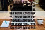 昆明做网站公司，助力企业数字化转型，打造专业高效网络平台，昆明企业数字化转型新伙伴，专业高效网络平台打造专家，昆明企业数字化转型新伙伴，专业高效网络平台建设专家