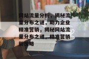 网站流量分析，揭秘流量分布之谜，助力企业精准营销，揭秘网站流量分布之谜，精准营销新策略