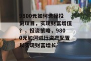 9800元如何选择投资项目,实现财富增值?,投资策略,9800元如何进行资产配置以实现财富增长 9800元如何选择投资项目,实现财富增值?,投资策略,9800元如何进行资产配置以实现财富增长
