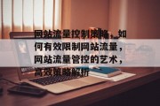 网站流量控制策略，如何有效限制网站流量，网站流量管控的艺术，高效策略解析