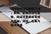 揭秘网站流量被刷之谜，原因、影响及应对策略，网站流量刷单真相大揭秘，成因、后果与解决方案