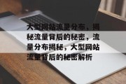 大型网站流量分布，揭秘流量背后的秘密，流量分布揭秘，大型网站流量背后的秘密解析