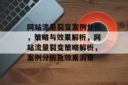 网站流量裂变案例分析，策略与效果解析，网站流量裂变策略解析，案例分析及效果洞察