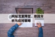 网站流量降低,原因分析与应对策略 网站流量降低,原因分析与应对策略
