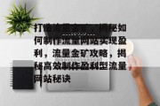 打造流量金矿，揭秘如何制作流量网站实现盈利，流量金矿攻略，揭秘高效制作盈利型流量网站秘诀