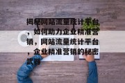 揭秘网站流量统计平台，如何助力企业精准营销，网站流量统计平台，企业精准营销的秘密武器