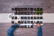 如何监控别人网站流量，揭秘网络监控的秘密武器，网络流量监控揭秘，揭秘追踪他人网站访问的秘密工具