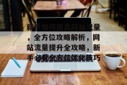 新手如何提高网站流量，全方位攻略解析，网站流量提升全攻略，新手必看全方位优化技巧