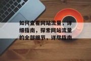 如何查看网站流量，详细指南，探索网站流量的全部细节，详尽指南