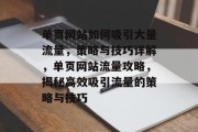 单页网站如何吸引大量流量，策略与技巧详解，单页网站流量攻略，揭秘高效吸引流量的策略与技巧