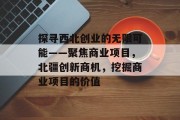 探寻西北创业的无限可能——聚焦商业项目,北疆创新商机,挖掘商业项目的价值 探寻西北创业的无限可能——聚焦商业项目,北疆创新商机,挖掘商业项目的价值