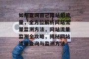 如何查询自己网站的流量，全方位解析网站流量监测方法，网站流量监测全攻略，揭秘网站流量查询与监测方法