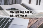 农村地里做什么赚钱_农村地干什么好