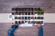 揭秘网站的流量密码，如何吸引海量用户访问，网站流量密码大揭秘，海量用户访问的秘密武器