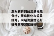 深入解析网站流量投放分析，策略优化与效果提升，网站流量优化与提升策略深度解析