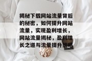 揭秘下载网站流量背后的秘密，如何提升网站流量，实现盈利增长，网站流量揭秘，盈利增长之道与流量提升策略