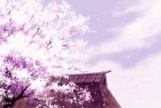 怎么把动图设置成壁纸(怎么把动图设置成壁纸oppo) 怎么把动图设置成壁纸(怎么把动图设置成壁纸oppo)