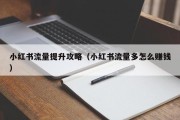 小红书流量提升攻略（小红书流量多怎么赚钱）