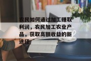 农民如何通过加工赚取利润,农民加工农业产品,获取高额收益的新途径 农民如何通过加工赚取利润,农民加工农业产品,获取高额收益的新途径