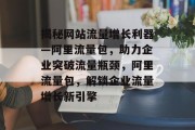 揭秘网站流量增长利器—阿里流量包，助力企业突破流量瓶颈，阿里流量包，解锁企业流量增长新引擎