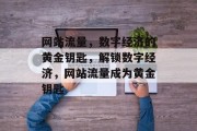 网站流量，数字经济的黄金钥匙，解锁数字经济，网站流量成为黄金钥匙