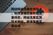 揭秘网站流量检测技术，如何准确把握网站流量动态，网站流量监测技术揭秘，精准掌握流量脉搏