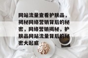 网站流量查看护肤品，揭秘网络营销背后的秘密，网络营销揭秘，护肤品网站流量背后的秘密大起底