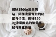 揭秘1500g流量网站，揭秘流量背后的秘密与价值，揭秘1500g流量网站的流量奥秘与商业价值