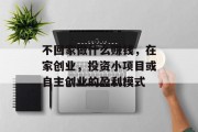 不回家做什么赚钱,在家创业,投资小项目或自主创业的盈利模式 不回家做什么赚钱,在家创业,投资小项目或自主创业的盈利模式
