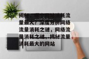揭秘，哪个网站消耗流量最大？深度分析网络流量消耗之谜，网络流量消耗之谜，揭秘流量消耗最大的网站