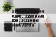 江西适合做的赚钱项目及策略,江西投资商机解析,2023年最有前景的创业项目 江西适合做的赚钱项目及策略,江西投资商机解析,2023年最有前景的创业项目