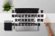 实时更新网站流量，掌握网站运营脉搏的关键，实时流量监控，把握网站运营动态的利器