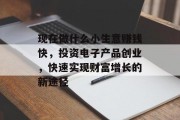 现在做什么小生意赚钱快,投资电子产品创业,快速实现财富增长的新途径