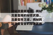 网站流量就是钱，揭秘流量变现的秘密武器，流量变现之道，揭秘网站流量变金的秘密武器