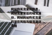网站购买流量的隐患，揭秘流量背后的暗流涌动，揭秘网站购买流量的潜在风险与暗流涌动真相