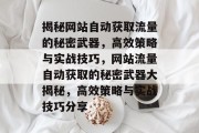 揭秘网站自动获取流量的秘密武器，高效策略与实战技巧，网站流量自动获取的秘密武器大揭秘，高效策略与实战技巧分享