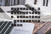 揭秘象棋网站流量，流量背后的秘密与未来趋势，象棋网站流量揭秘，探寻流量秘密与行业未来动向
