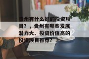 贵州有什么好的投资项目?,贵州有哪些发展潜力大、投资价值高的投资项目推荐? 贵州有什么好的投资项目?,贵州有哪些发展潜力大、投资价值高的投资项目推荐?