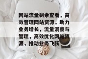 网站流量剩余查看，高效管理网站资源，助力业务增长，流量洞察与管理，高效优化网站资源，推动业务飞跃