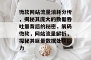 微软网站流量消耗分析，揭秘其庞大的数据吞吐量背后的秘密，解码微软，网站流量解析，探秘其巨量数据处理能力