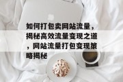 如何打包卖网站流量，揭秘高效流量变现之道，网站流量打包变现策略揭秘