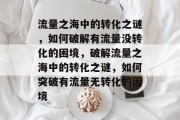 流量之海中的转化之谜，如何破解有流量没转化的困境，破解流量之海中的转化之谜，如何突破有流量无转化的困境