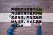 揭秘网站流量秘密，全方位解析如何查找网站流量方法，网站流量奥秘大揭秘，全方位流量查找攻略