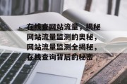 在线查网站流量，揭秘网站流量监测的奥秘，网站流量监测全揭秘，在线查询背后的秘密