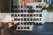 流量上不了网站，揭秘网站流量无法正常访问的五大原因及解决方案，网站流量无法访问之谜，五大原因解析及解决方案全攻略