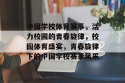 中国学校体育赛事，活力校园的青春旋律，校园体育盛宴，青春旋律下的中国学校赛事风采