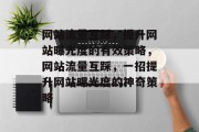 网站流量互踩，提升网站曝光度的有效策略，网站流量互踩，一招提升网站曝光度的神奇策略