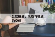 公款投资,风险与机遇的交织 公款投资,风险与机遇的交织